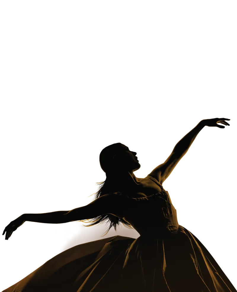 Silhouette of Eliza from the musical Hamilton